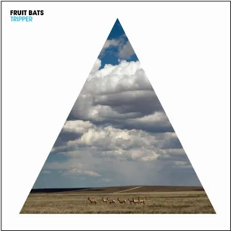 Tripper by Fruit Bats