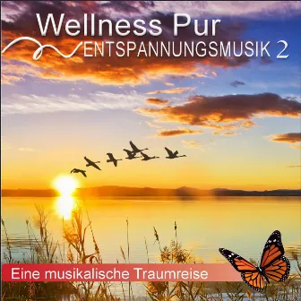 Entspannungsmusik 2, eine musikalische Traumreise by Wellness Pur