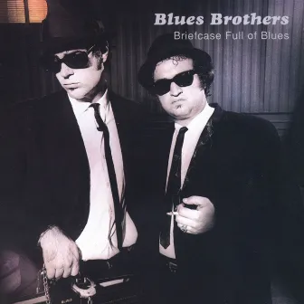 Briefcase Full of Blues by The Blues Brothers