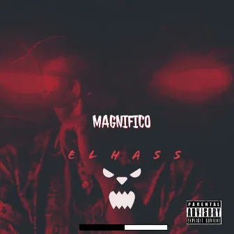 Magnifico by EL HASS