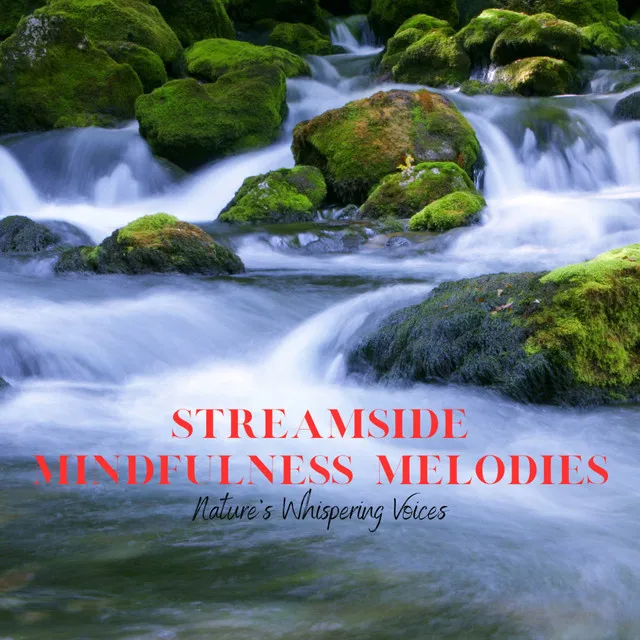 Streamside Mindfulness Melodies: Nature's Whispering Voices