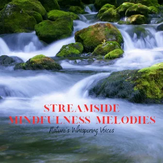 Streamside Mindfulness Melodies: Nature's Whispering Voices by Oh the joy