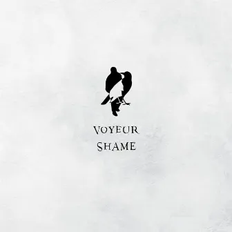 Shame by Voyeur