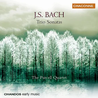 Bach: Trio Sonatas by Purcell Quartet