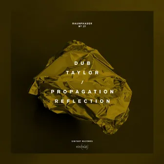 Propagation Reflection by Dub Taylor