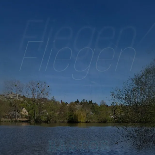 Fliegen