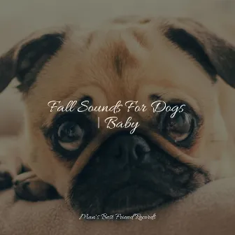 Fall Sounds For Dogs | Baby by Unknown Artist