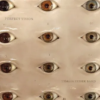 Perfect Vision by Thalia Zedek Band