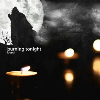 Burning Tonight by Krystal