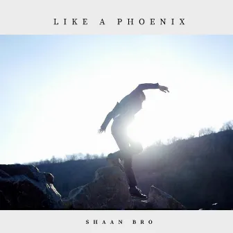 Like a Phoenix by Shaan Bro