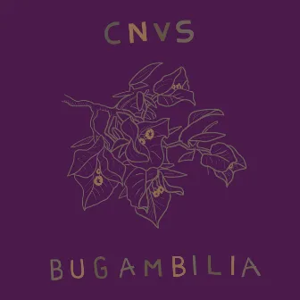 Bugambilia by Cnvs