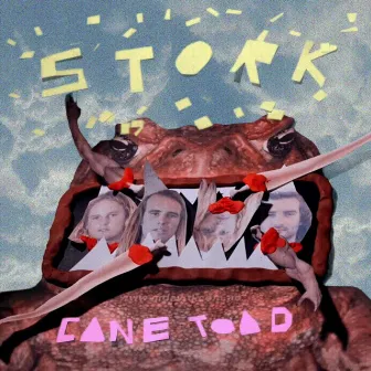 Cane Toad by STORK