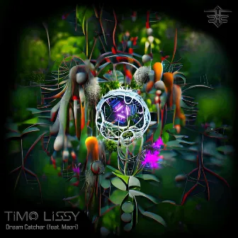 Dream Catcher by Timo Lissy