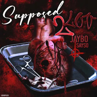 Supposed 2 Luv by Jaybo Sayso