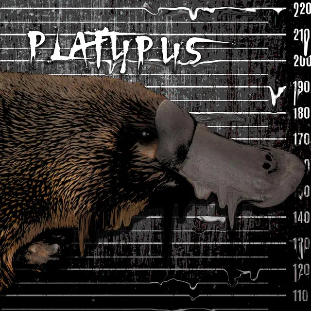 Platypus