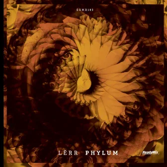 Phylum by Lèrr