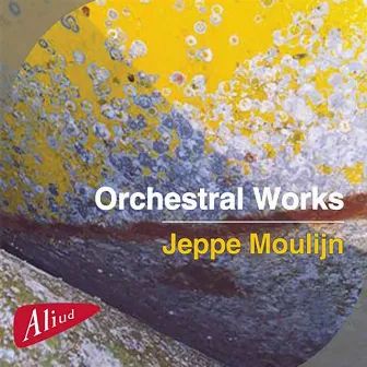 Orchestral Works (1) by Jeppe Moulijn