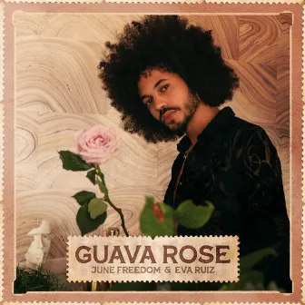 Guava Rose by June Freedom