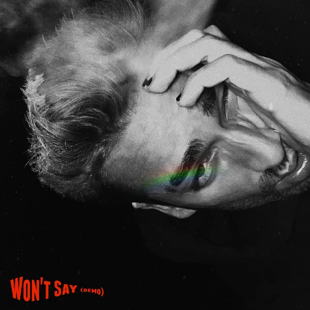 Won't Say - Demo