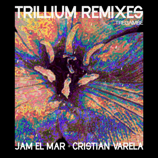 Third Dimension - Cristian Varela Remix