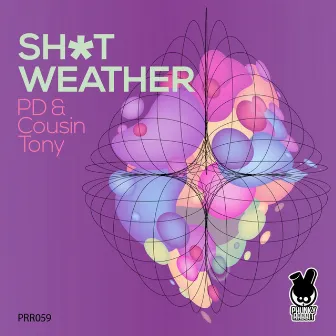 Shit Weather by PD