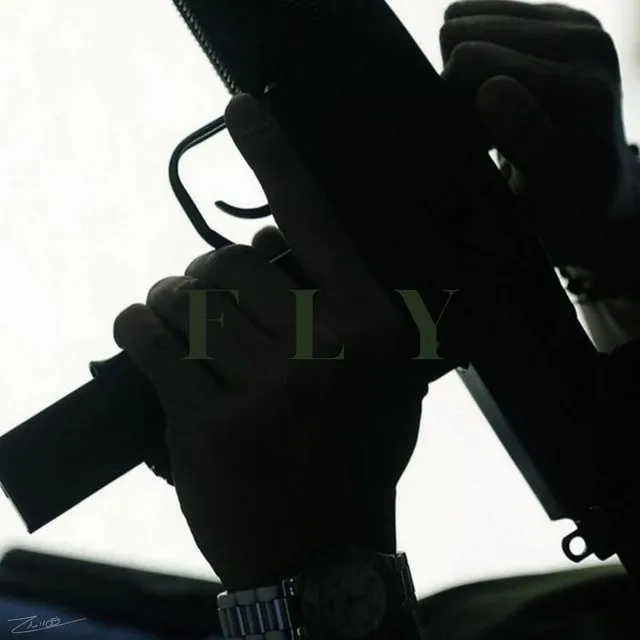 FLY