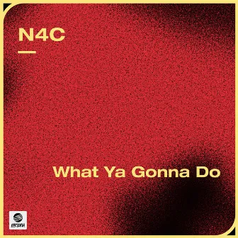 What Ya Gonna Do by N4C