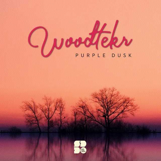 Purple Dusk - Original Mix