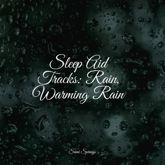 Sleep Aid Tracks: Rain, Warming Rain