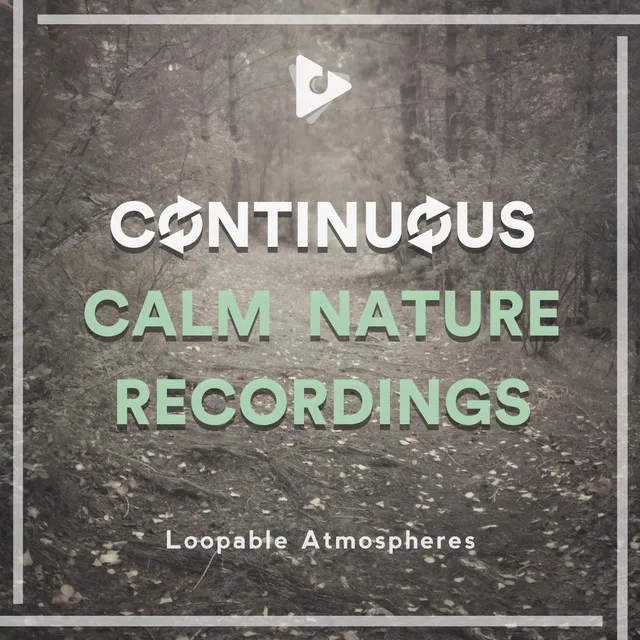 Continuous Calm Nature Recordings