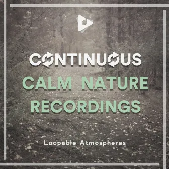 Continuous Calm Nature Recordings by Nature Recordings