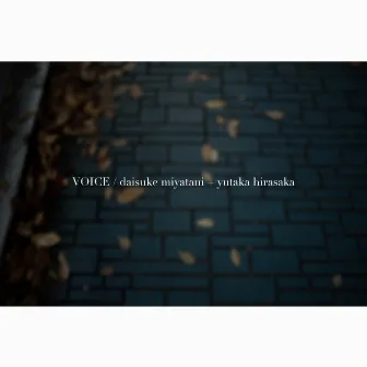 VOICE by Daisuke Miyatani