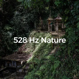 528 Hz Nature (Zen Forest Tones) by DreamDeeper