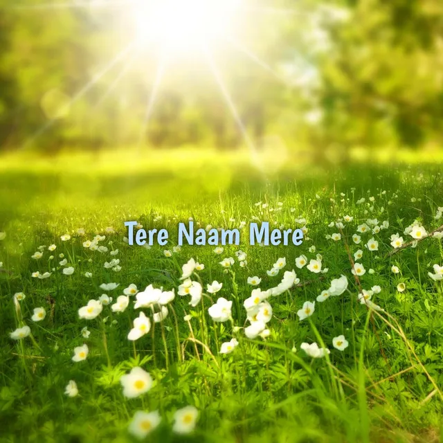 Tere Naam Mere