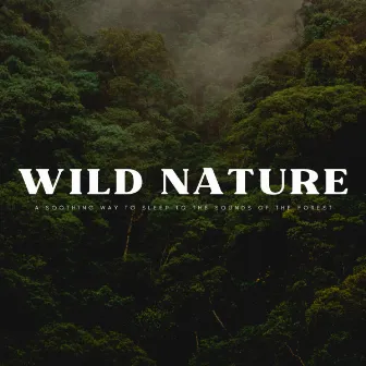 Wild Nature: A Soothing Way To Sleep To The Sounds Of The Forest by Sleep Tech