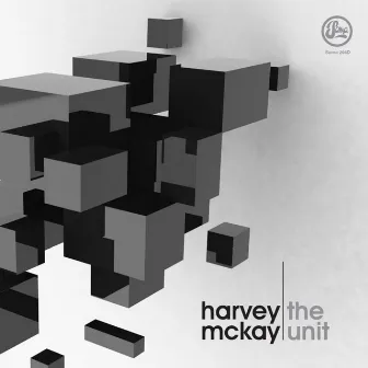 The Unit by Harvey McKay