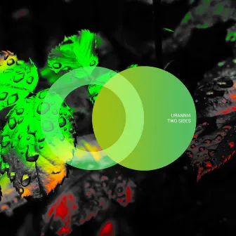 Two Sides by URANNIA