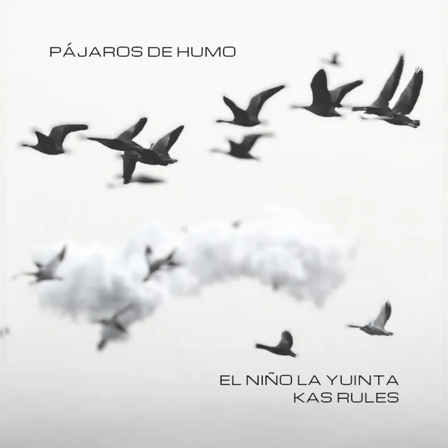 Pajaros de Humo