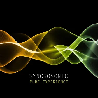 Pure Experience by Syncrosonic