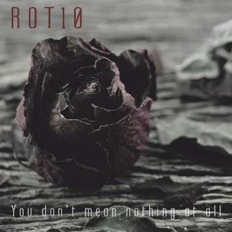 You Don't Mean Nothing at All by ROT10