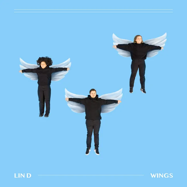 Wings