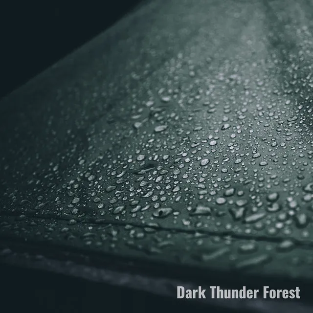 Dark Thunder 1