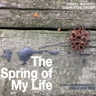 The Spring of My Life by Andrea Massaria