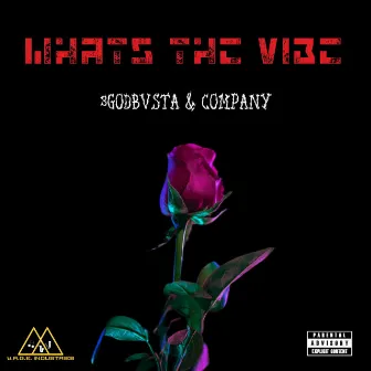 What's The Vibe by 3godbvsta