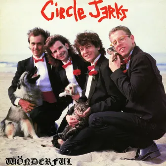 Wonderful by Circle Jerks