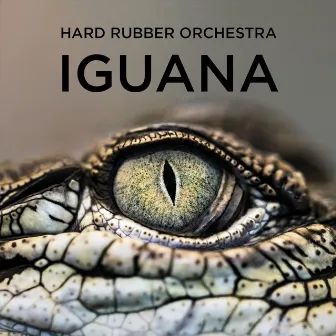 Iguana by Hard Rubber Orchestra