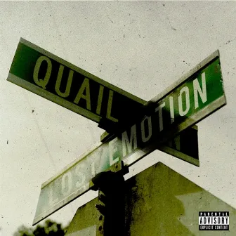 Lost Emotion by Quail P