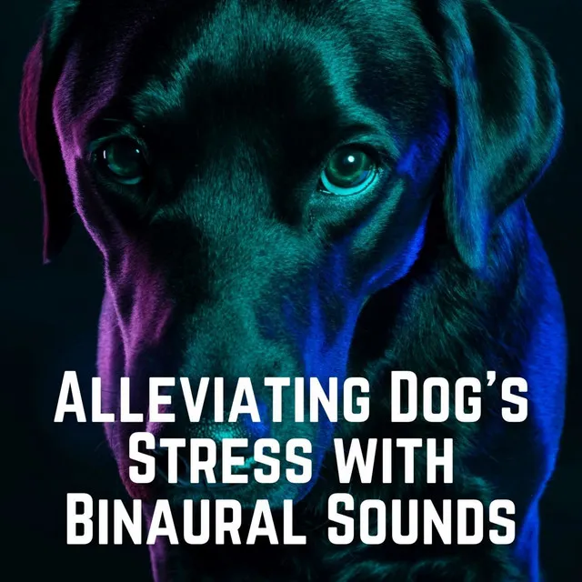 Alleviating Dog's Stress with Binaural Sounds