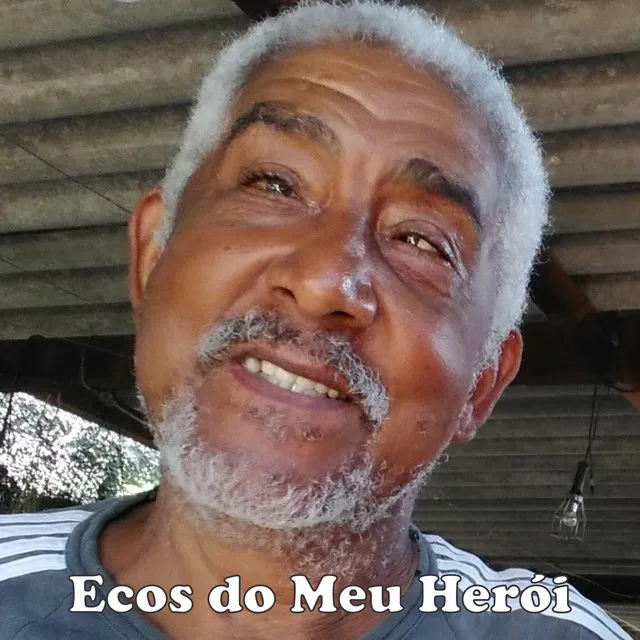 Ecos do Meu Herói