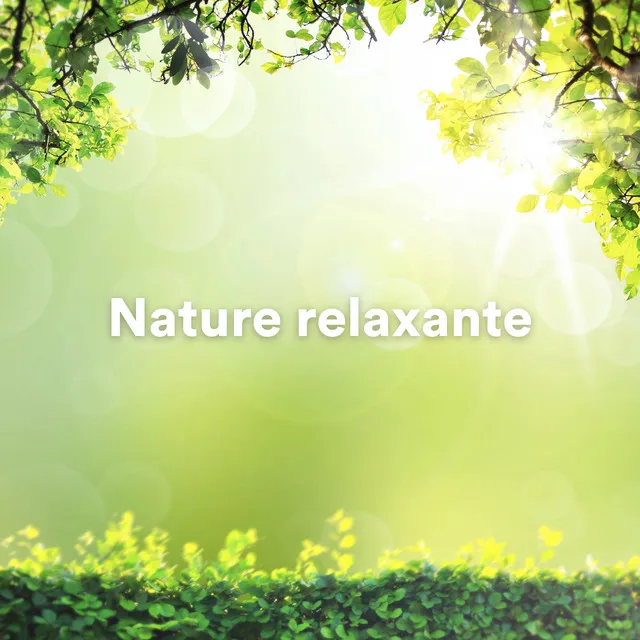 Nature relaxante